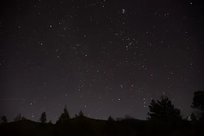 DSC_1106 (Large).JPG